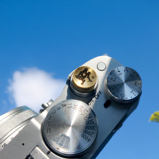 Chinese-calligraphy-field-shutter-button-top