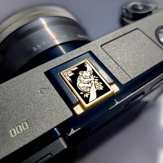 engraved koala design hot shoe cap for mirrorless cameras