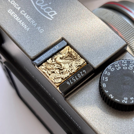 fantastic beasts phoenix engraved camera cover