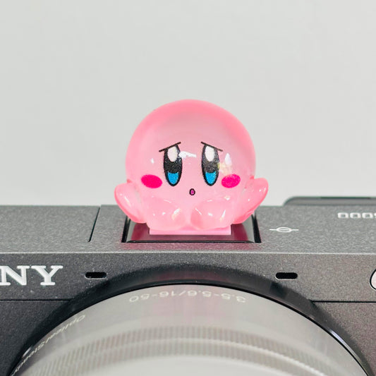 Luminous Kirby Camera hot shoe cover