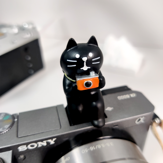 Black Cat Photographer Camera Hot Shoe Cover