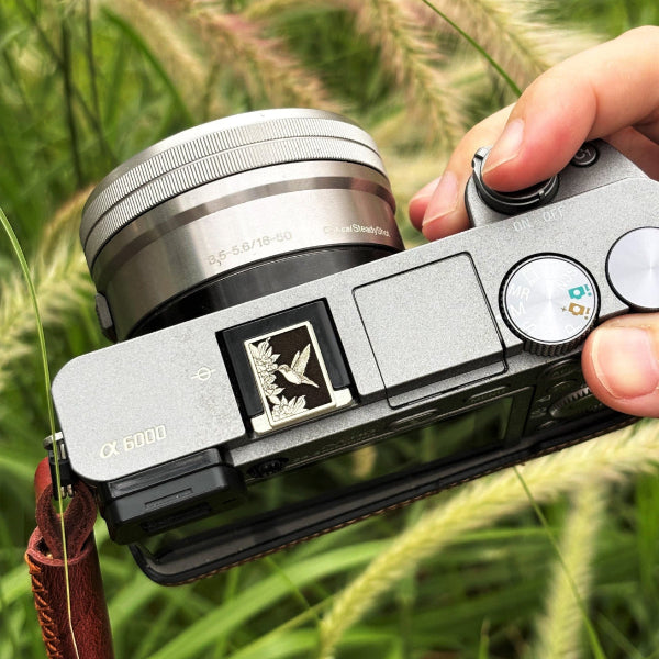 silver metal hot shoe cover with hummingbird design on sony DSLR camera