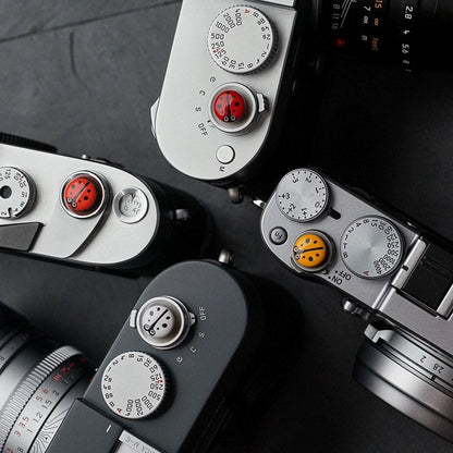 Beetle - Camera Shutter Button