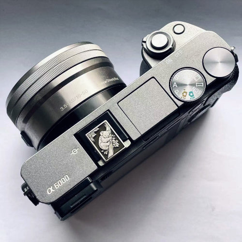 Silver koala hot sheo cover on sony camera