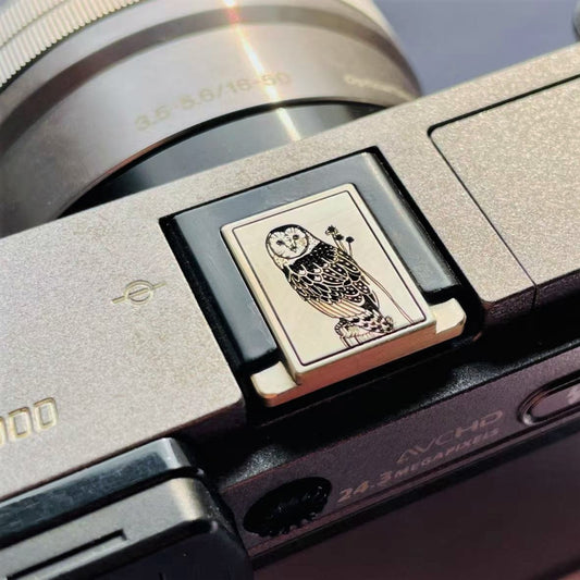 Owl – Wildlife Edition Silver Camera Hot Shoe Cover