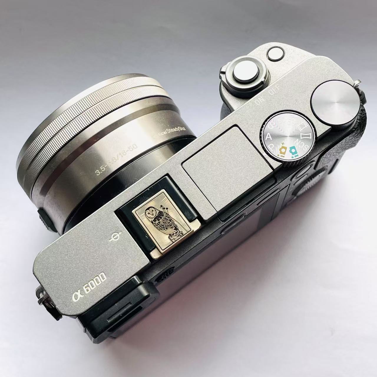 Owl – Wildlife Edition Silver Camera Hot Shoe Cover